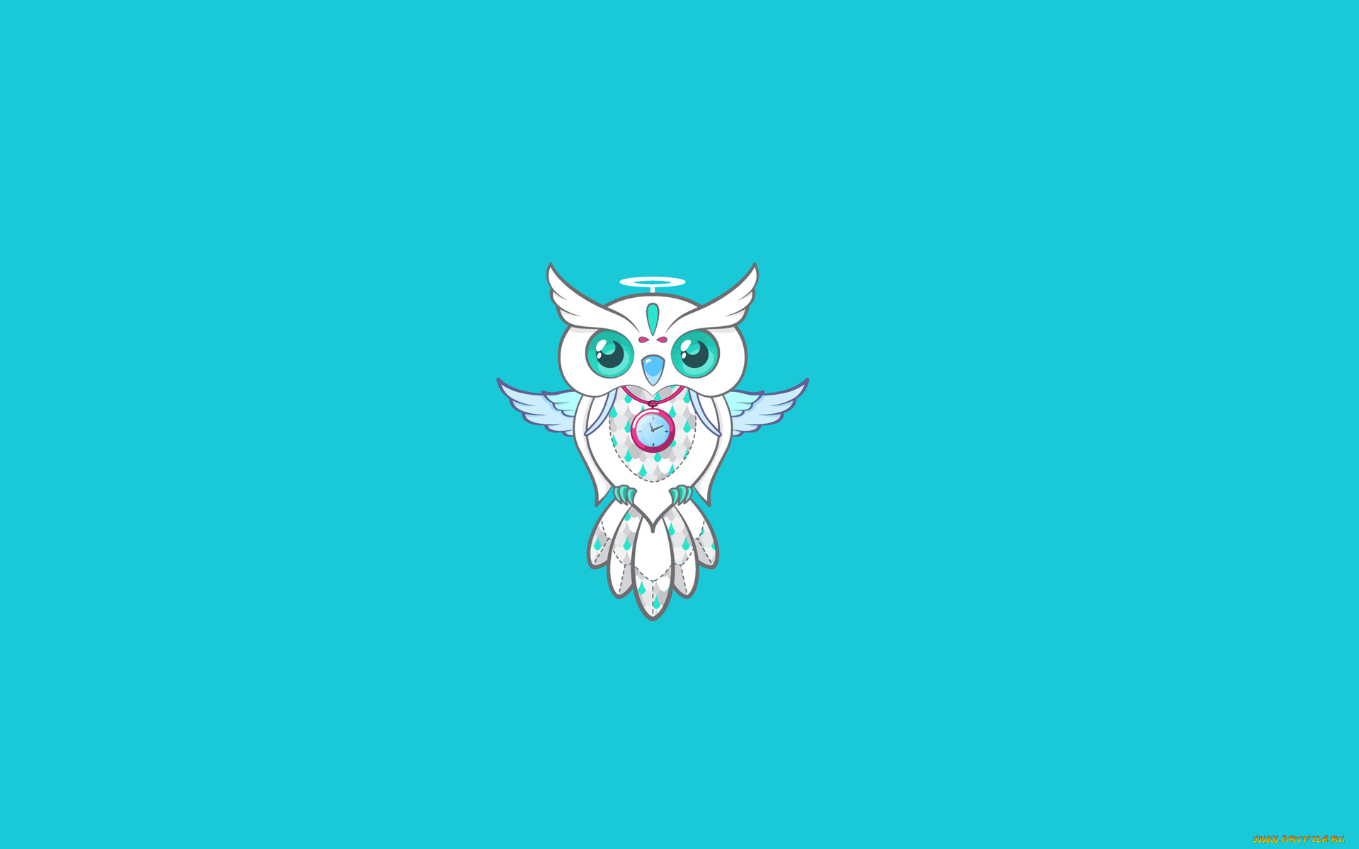 , , , owl